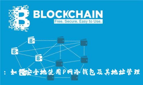 : 如何安全地使用P网冷钱包及其地址管理