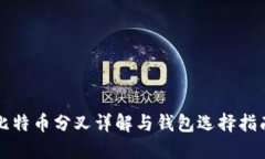 比特币分叉详解与钱包选择指南