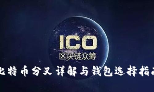 比特币分叉详解与钱包选择指南