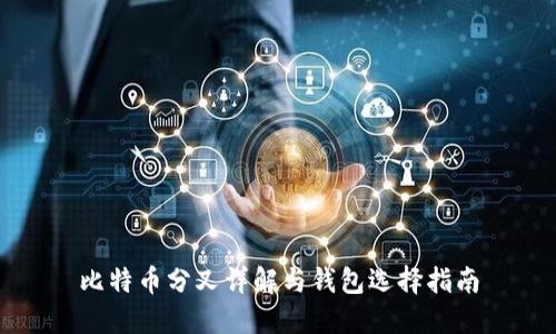 比特币分叉详解与钱包选择指南