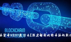 比特派货币OZBT是什么？深度解析比特币派的新兴