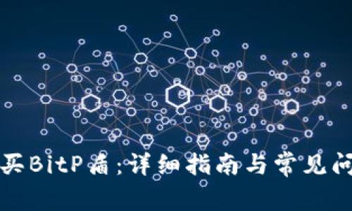 如何购买BitP盾：详细指南与常见问题解答