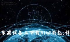 如何在苹果设备上下载BitP钱包：详细指南