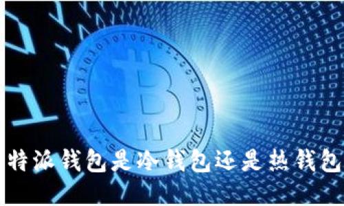 b特派钱包是冷钱包还是热钱包？