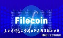 未来币钱包占空间大的原因及解决办法