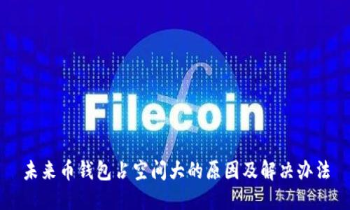 未来币钱包占空间大的原因及解决办法