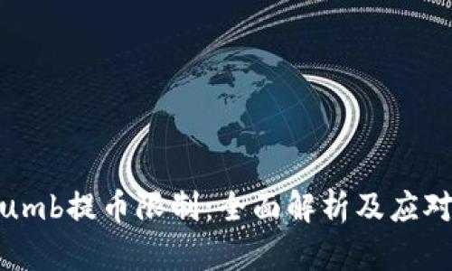 Bithumb提币限制：全面解析及应对策略