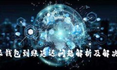 b特派钱包到账延迟问题解析及解决方案