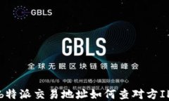 b特派交易地址如何查对方IP