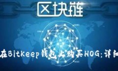 如何在BitKeep钱包上购买HOG：详细指南