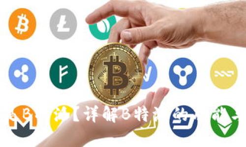 什么是B特派？详解B特派的功能与作用