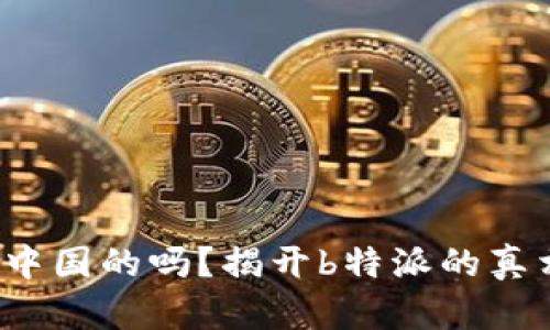 b特派是中国的吗？揭开b特派的真相与背景