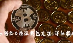 如何给B特派钱包充值：详细指南
