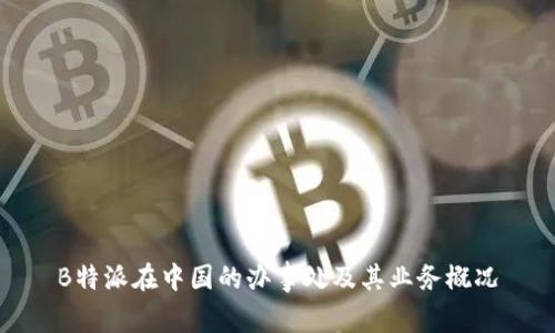 B特派在中国的办事处及其业务概况