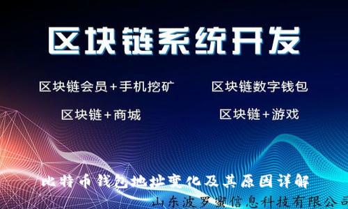 比特币钱包地址变化及其原因详解