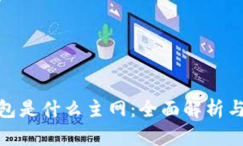 Bitpie钱包是什么主网：全面解析与使用指南
