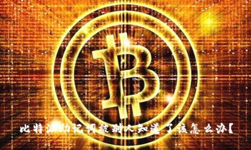 比特派助记词被别人知道了该怎么办？