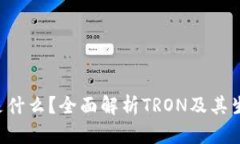 TRX币是什么？全面解析TRON及其生态系统