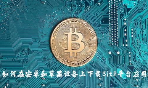 如何在安卓和苹果设备上下载BitP平台应用
