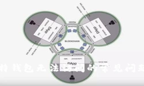解决比特钱包无法访问的常见问题与技巧