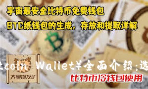 比特币钱包（Bitcoin Wallet）全面介绍：选择、使用与安全