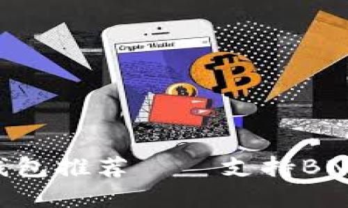 最佳BNB智能链钱包推荐 – 支持BNB的安全钱包选择