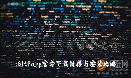 :BitPapp官方下载链接与安装攻略