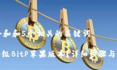 思考一个和和5个相关的关键词: 如何升级BitP苹果