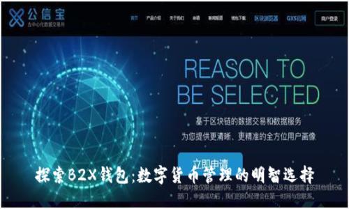 探索B2X钱包：数字货币管理的明智选择