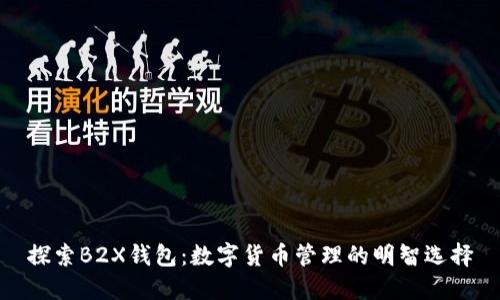 探索B2X钱包：数字货币管理的明智选择