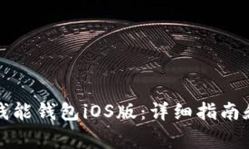 如何下载钱能钱包iOS版：详细指南和注意事项