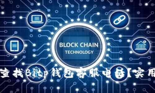 如何查找Bitp钱包客服电话？实用指南