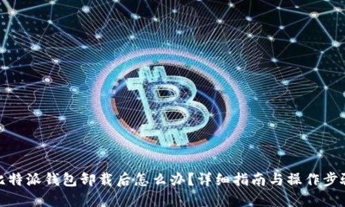 比特派钱包卸载后怎么办？详细指南与操作步骤