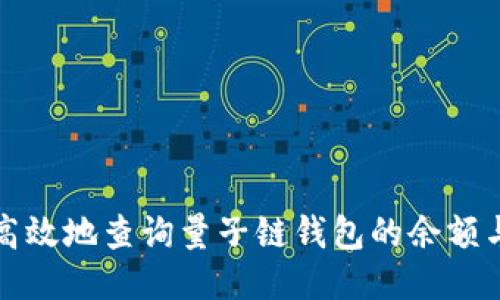 如何安全高效地查询量子链钱包的余额与交易记录