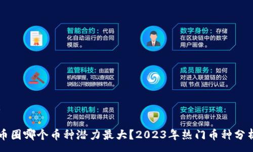 :

币圈哪个币种潜力最大？2023年热门币种分析