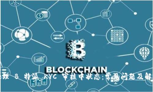 如何处理 B 特派 KYC 审核中状态：常见问题及解决方案
