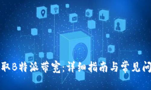 如何获取B特派带宽：详细指南与常见问题解答