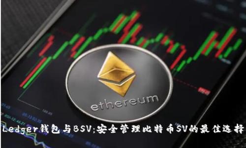 Ledger钱包与BSV：安全管理比特币SV的最佳选择