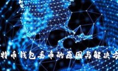 比特币钱包丢币的原因与解决方法