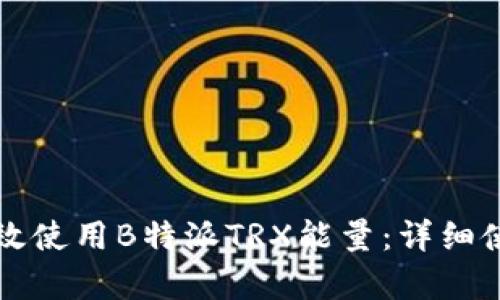 如何有效使用B特派TRX能量：详细使用指南