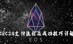 TRC20支付流程及成功技巧详解