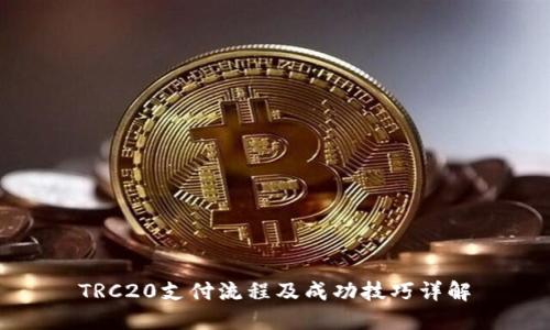 TRC20支付流程及成功技巧详解