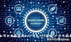 如何识别和使用BitP钱包APP图标：一站式指南