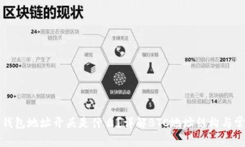 比特派钱包地址开头是什么？详解BTC地址结构与常见问题