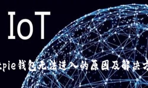 Bitpie钱包无法进入的原因及解决方案