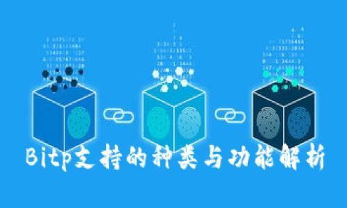 Bitp支持的种类与功能解析
