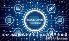 BitP：全球数字货币交易的新兴大平台分析