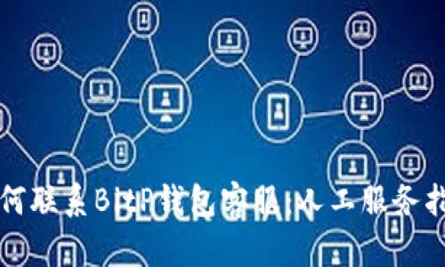 如何联系BitP钱包客服：人工服务指南