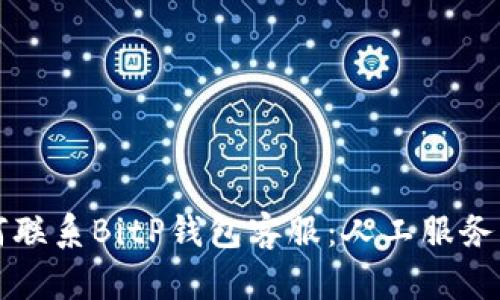 如何联系BitP钱包客服：人工服务指南