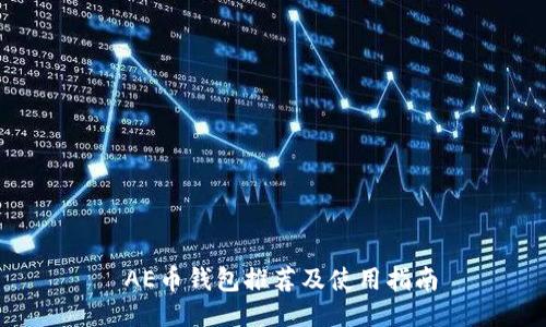  AE币钱包推荐及使用指南